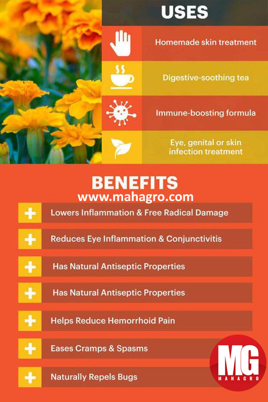 Did you know the uses & benefits of these beautiful flowers?