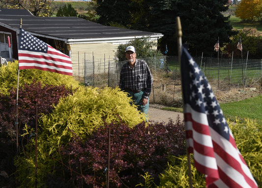 Tomato discovered on WWII battlefield lives on