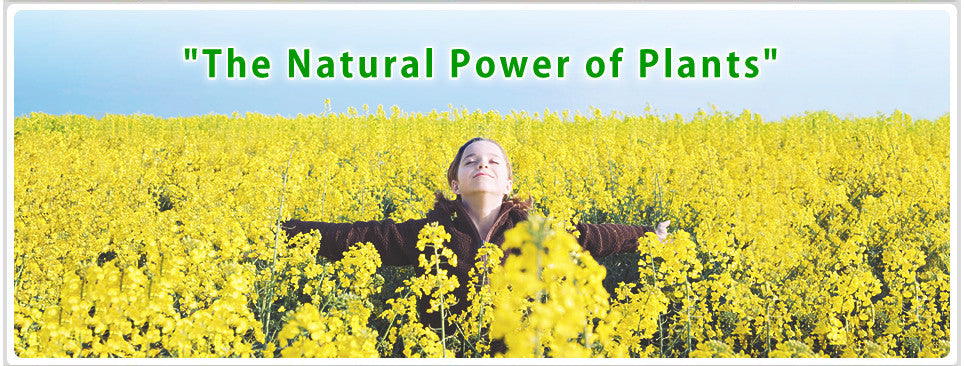 Gardening is a Form of Resistance