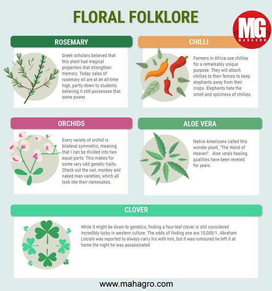 Interesting beliefs about these wonderful plants!