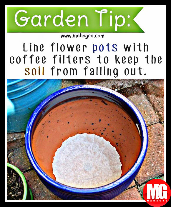 Amazing Garden tips!