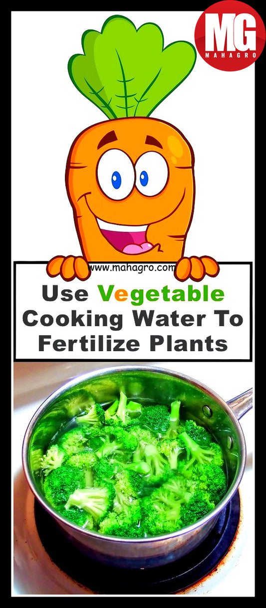 Amazing Garden tips!