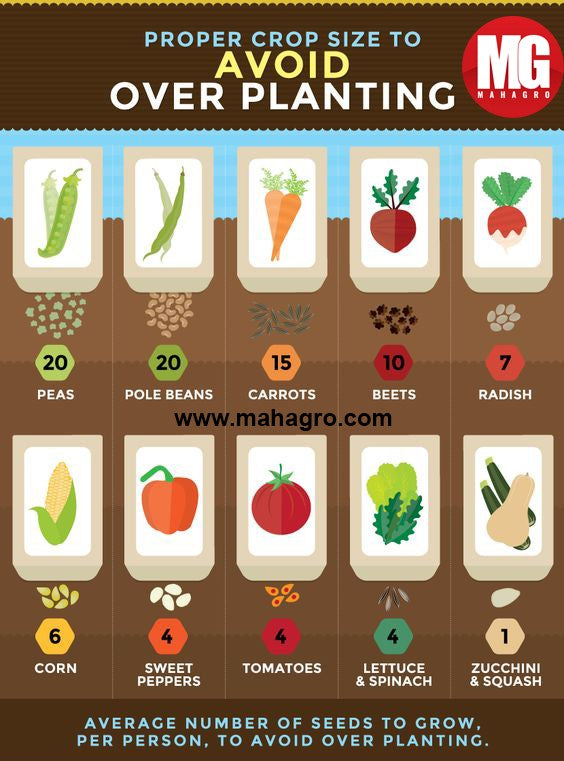 How many seeds should you plant for proper growth?