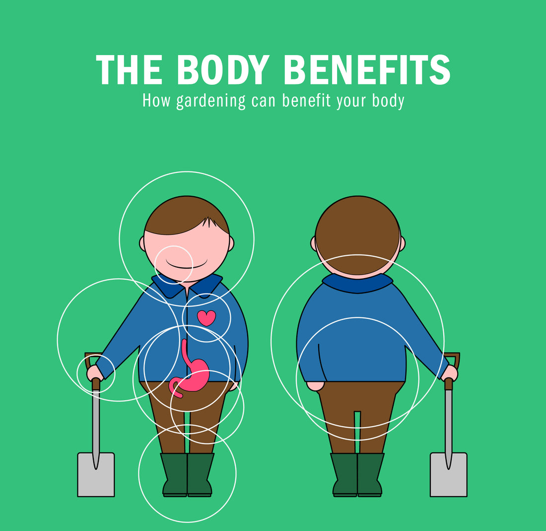 How gardening can benefit your body