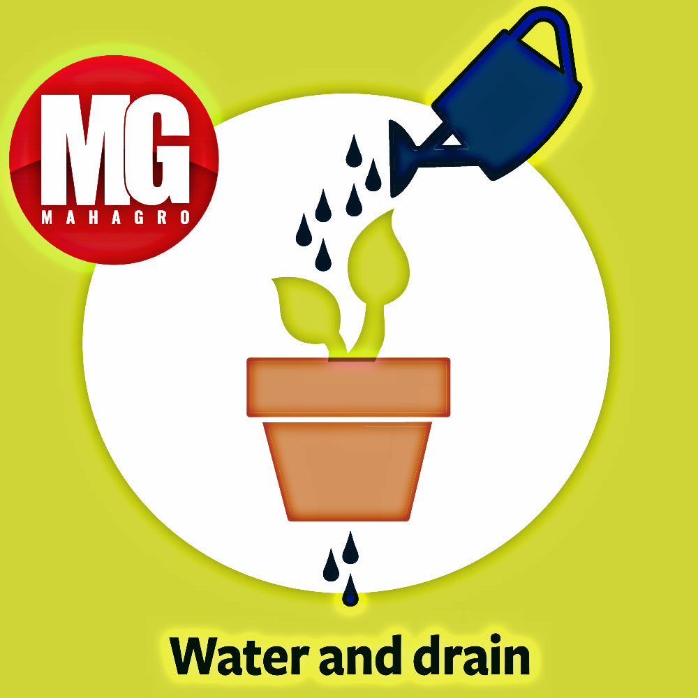 How much water is needed for plants in MahaGro Potting Mix
