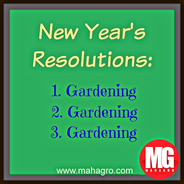 Best New year resolution ever!