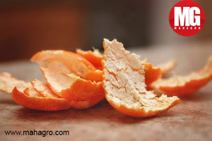 Benefits of Using Citrus Peel in Your Garden