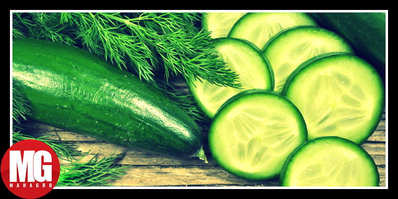 Choosing The Perfect Cucumber to Grow