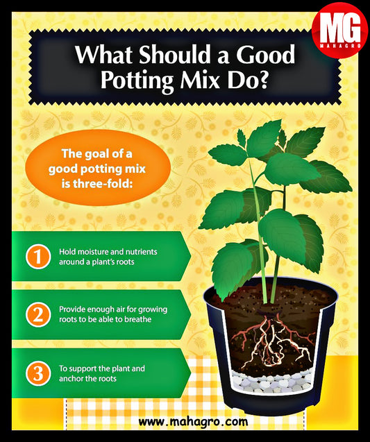 Organic Potting Mix on amazon.in