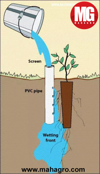 For faster plant growth root feeding is important