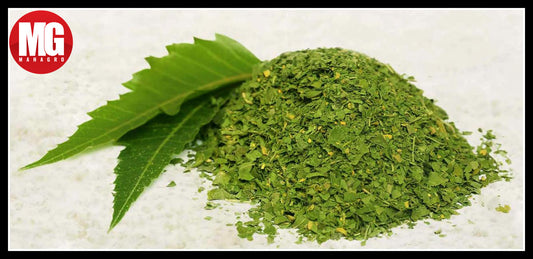 9 Amazing Uses of Neem Powder