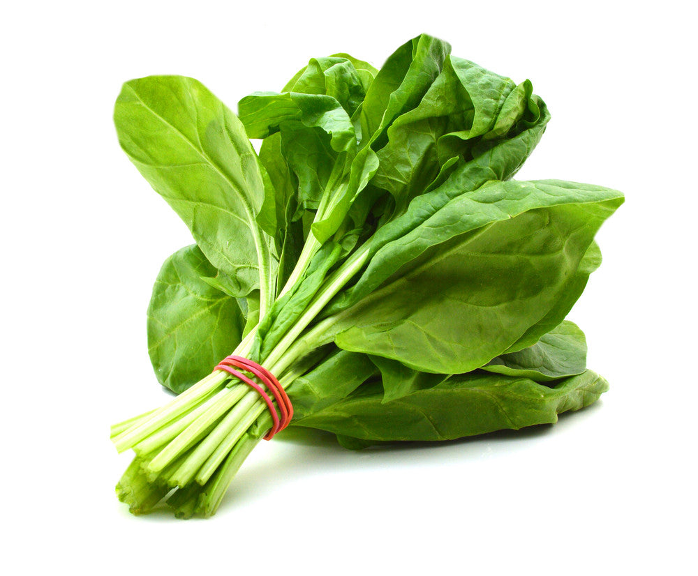Grow your own Organic Spinach at home – MahaGro®