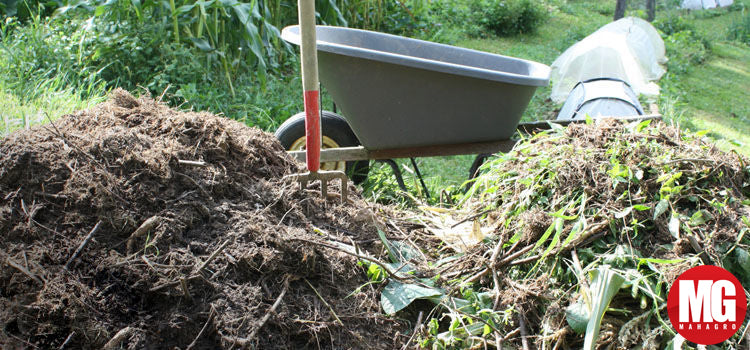 Harvesting and Using Garden Compost
