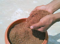 All Purpose Premium Potting Mix®- With Cocopeat & Organic Fertilizer-MahaGro- 10kg (Pack of 10 bags) - MahaGro™